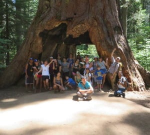 Through a Latino Outdoors program, a youth group enjoys the giant sequoias