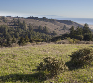 Photo by Mike Kahn, Sempervirens Fund