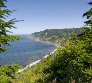 Shady Dell is a forested haven on the Lost Coast. Photo by Paolo Vescia