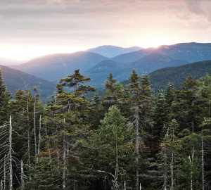 White Mountain National Forest, where I spent four summers building trails. Photo by weesam2010, Flickr Creative Commons