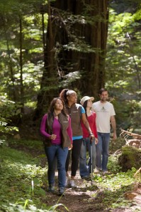 League staff feel wonderful on a day in the redwoods. Photo by Paolo Vescia.