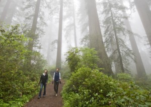 Celebrating the trails that guide us into the heart of nature. Photo by Paolo Vescia