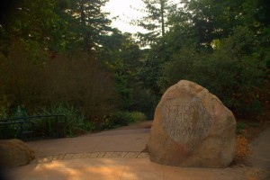 The National AIDS Memorial Grove. Photo by Wayne Hsieh, Flickr Creative Commons