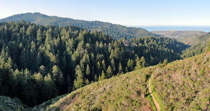 Purisima Creek