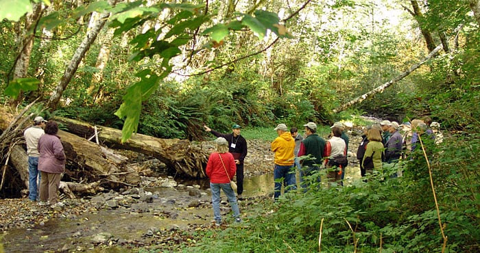 Members of the Board of Councillors learn about stream restoration in Mill Creek forest. Photo by Mark Bult
