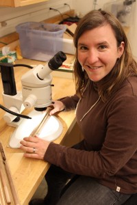 Allyson Carroll views tree cores under the microscope.