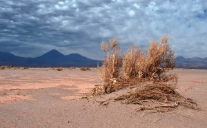 The arid Atacama Desert. Photo by wilth, Flickr Creative Commons.