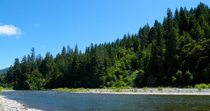 Benbow State Recreation Area, Photo by humboldthead, Flickr Creative Commons