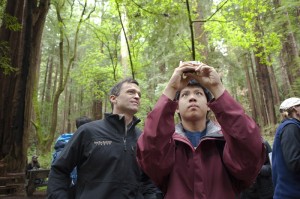 Students collected data about the redwoods forest at BioBlitz 2014.