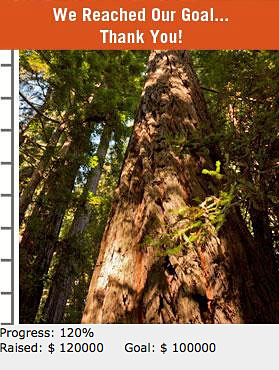 You  did it! Thank you for helping us reach our $100,000 challenge for CEMEX Redwoods!