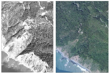 Left, Cape Vizcaino in 1947, with meadows clearly visible. Right, the present view, with trees encroaching heavily.