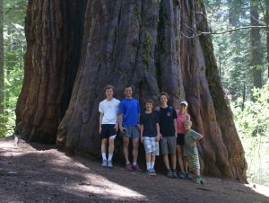 Sam and his family in the redwoods.