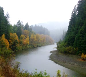 Fall foliage along the Eel River. Photo by mlhradio, Flickr Creative Commons