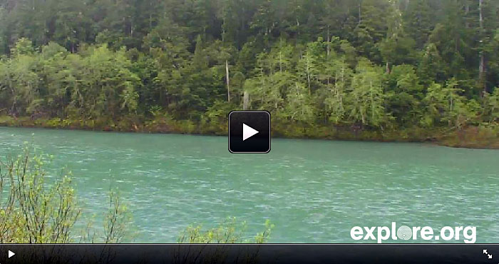 Click the image to see the Smith River flowing through world-renowned Jedediah Smith Redwoods State Park, home to many of the tallest trees on Earth.