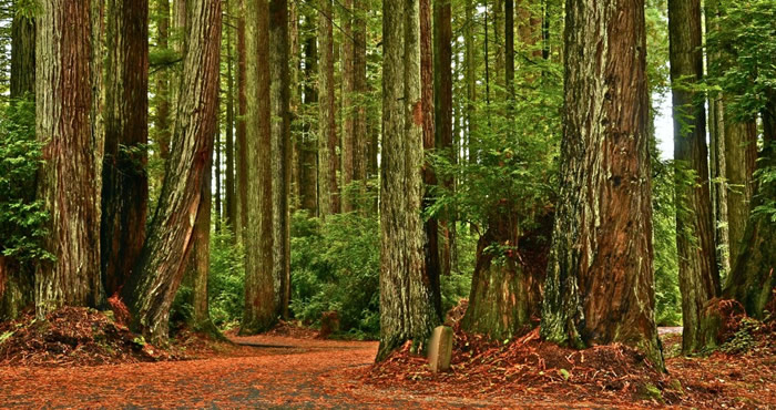 Florence Keller County Park, Photo by Linda Tanner, Flickr Creative Commons