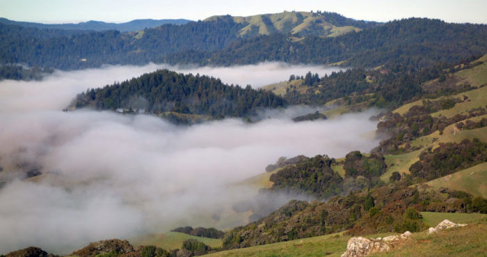 French Ranch Open Space Preserve