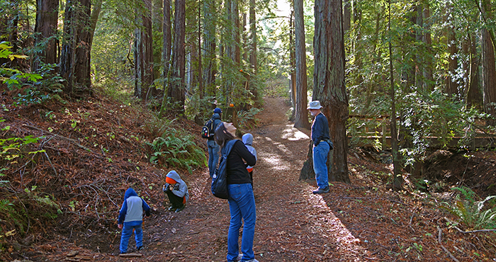 Gary Giacomini Open Space Preserve. Photo by Craig Solin