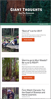 Giant Thoughts enewsletter