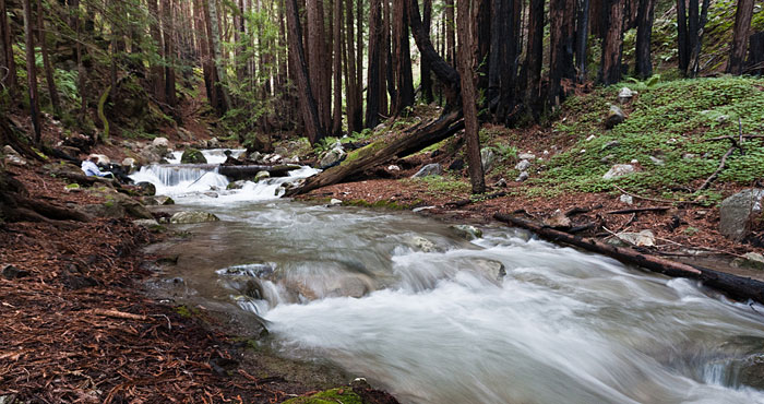 Photo by mikebaird, Flickr Creative Commons