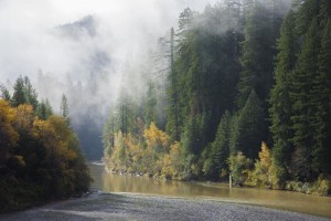 We must continue collaborating to save these special places. Photo by David Baselt. 