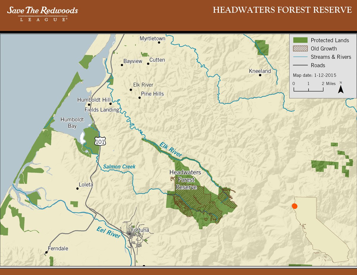 Map of Headwaters Forest Reserve