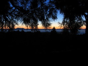 A summer sunrise view from the redwood canopy in Sonoma County.