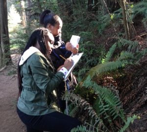 Berkeley High students learning about redwood ecology.