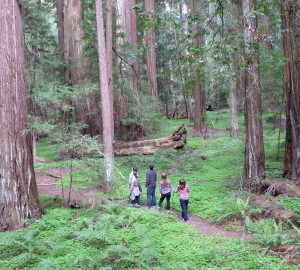 Mont_Woods_Celebration_walk_2