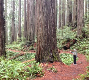 Tom and Jeff admire the majestic setting.