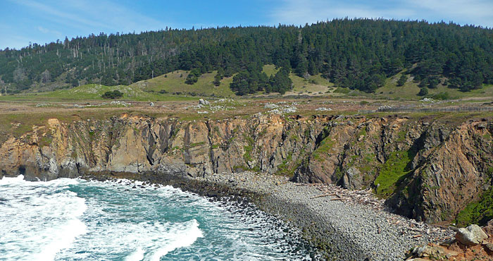 The League currently manages this 871-acre parcel at Stewarts Point as a working model of forest stewardship.