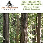 The initial findings of the League's Redwoods and Climate Change Initiative (RCCI) program, released August 14, 2013, mark a huge leap forward in our understanding of redwood forests.