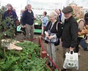 Former League President, Pete Dangermond, enjoys the Garden Club of America exhibit abroad. Photo by Diana Fish.