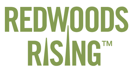 Redwoods Rising