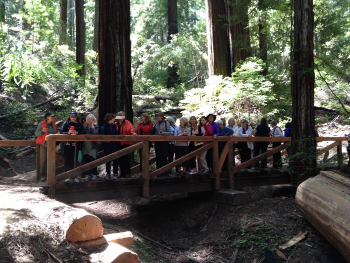 Humboldt Redwoods State Park