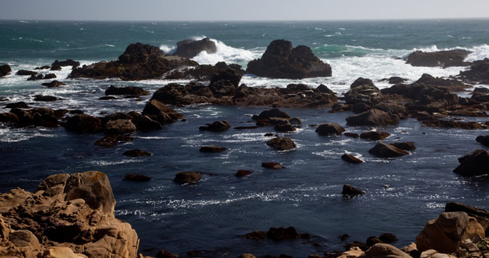 Salt Point State Park, Photo by jar (o), Flickr CC