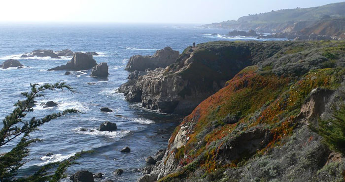 View from the Soberanes Trail.