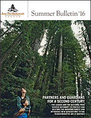 Summer Bulletin 2016 cover