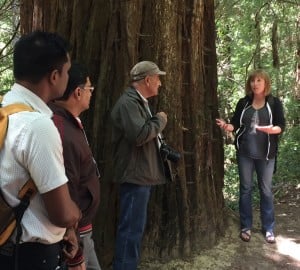 We talk about translating redwood forest science to India's northern forests.
