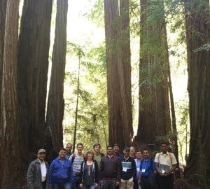 Our group gathers beneath the redwoods at Big Basin.