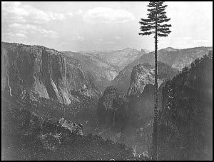 Yosemite Valley – 1866. Photo by Carleton Watkins