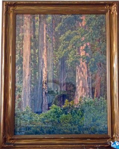 Founders Tree, Humboldt Redwoods State Park. Painting by Gunnar Mauritz Widforss