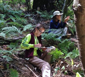 Students set up fern plots and learn scientific field techniques as part of Pepperwood Preserve's TeenNat program.