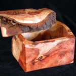 Redwood Burl Box