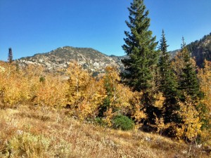 Hiking in the Wasatch Range east of Salt Lake City.