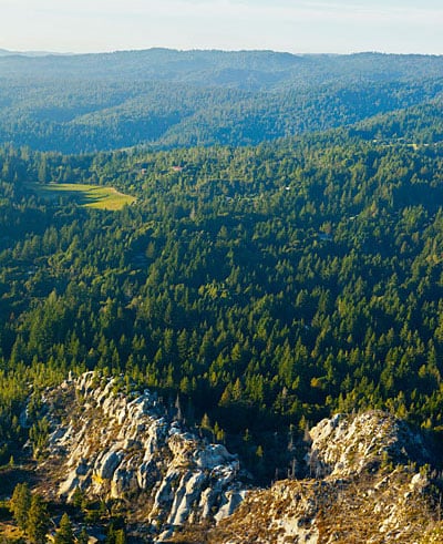 Aerial view of CEMEX Redwoods. Photo by William K. Matthias