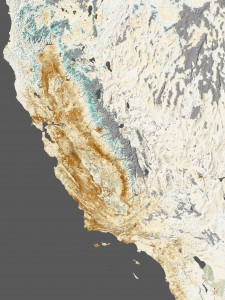 The vegetation anomaly for January 2014 (brown is below-average "greenness", white is average, and brown is below-average "greenness" for this time of year. NASA Earth Observatory image by Jesse Allen, Earth Observatory, using data provided by Inbal Reshef, Global Agricultural Monitoring Project.