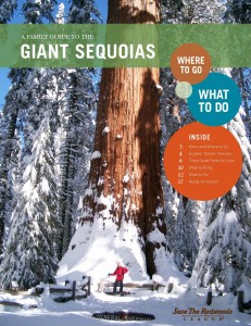 Save the Redwoods League introduces a new free travel guide for parents and kids