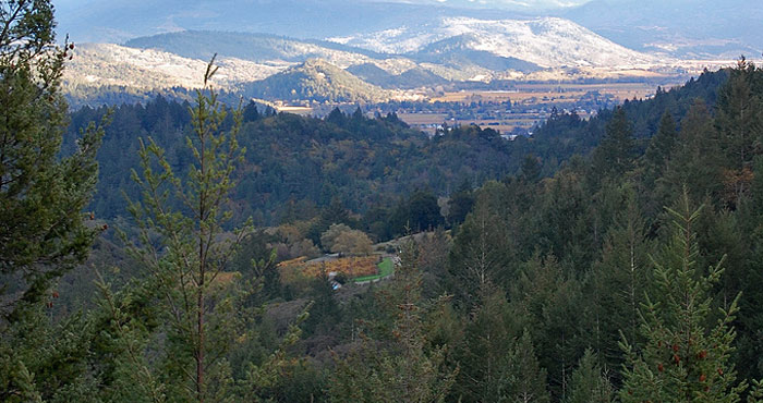 Beautiful Bothe-Napa Valley State Park near Calistoga offers hikes through a redwood canyon along a creek. Photo by Life in a Yurt, Flickr Creative Commons