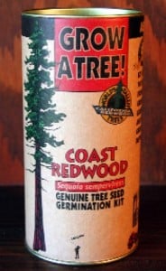 coast redwood germination kit