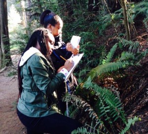 Students collect data on sword ferns as part of our citizen science program Fern Watch.